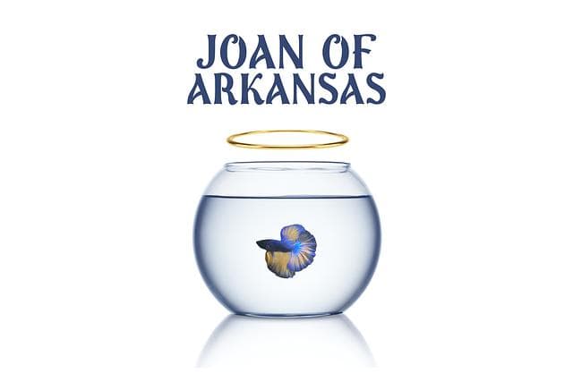 Joan of Arkansas card